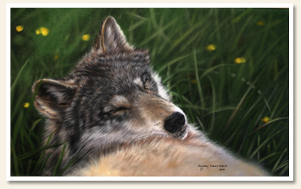 Afternoon Nap - Pastel Painting by Lesley Harrison